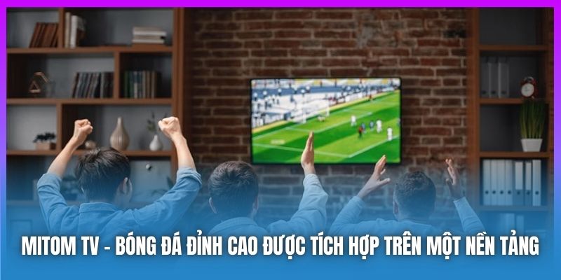 Mitom TV | Bóng Đá Đỉnh Cao Được Tích Hợp Trên Một Nền Tảng